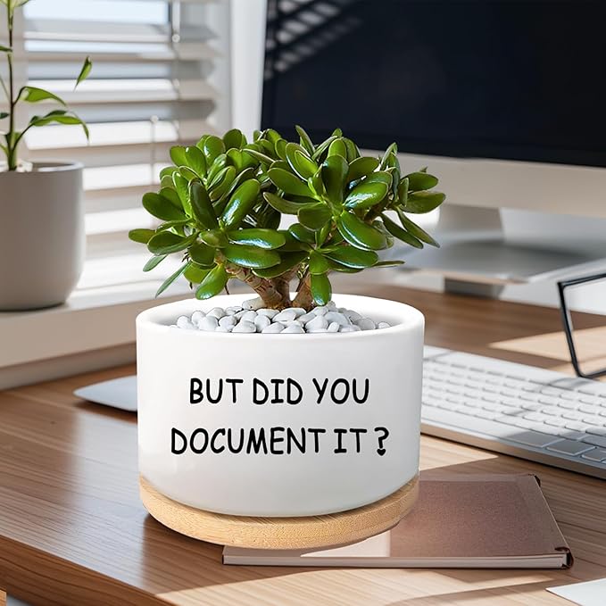 Office Desk Shelf Decor, Succulent Plant Pot, Ceramic Flower Cactus Planter Office Accessories Gifts for Coworker Employee Colleague Women Men Friend, But Did You Document It (Plants Not Included)
