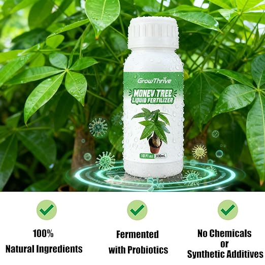 10 oz Organic Money Tree Fertilizer Liquid - Microbial Probiotic Plant Food for Pachira Aquatica & Houseplants - Promotes Root Growth & Green Leaves