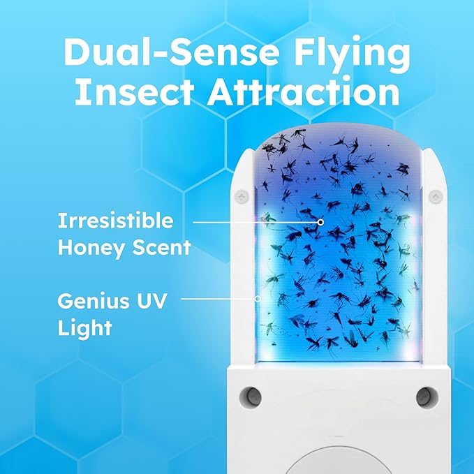BugMD Fruit Fly Trap Indoor for Safer Home, Gnat Traps for House Indoor, Gnat Killer, Plug in Bug Catcher, Fly Trap, Insect Traps, Fruit Fly Killer