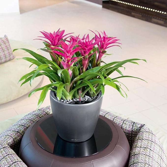 Lechuza Classico LS 35 Charcoal Metallic, Self-Watering Round Planter, D13.8 H13 in