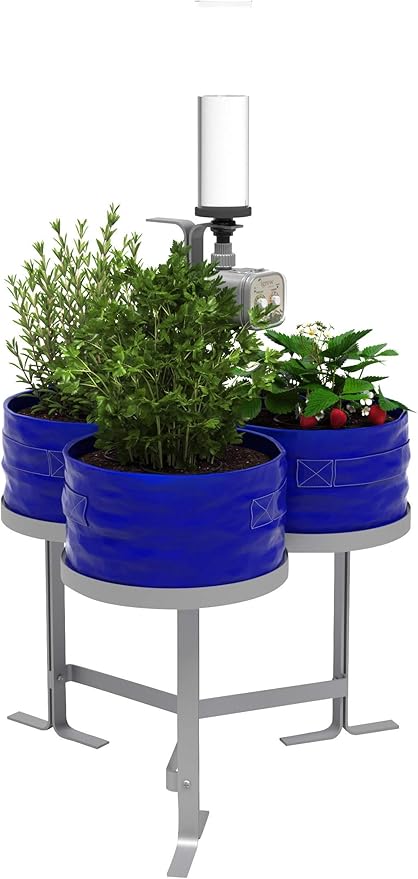 Harmony Garden Herbs and Vegetables Grow kit - Blue