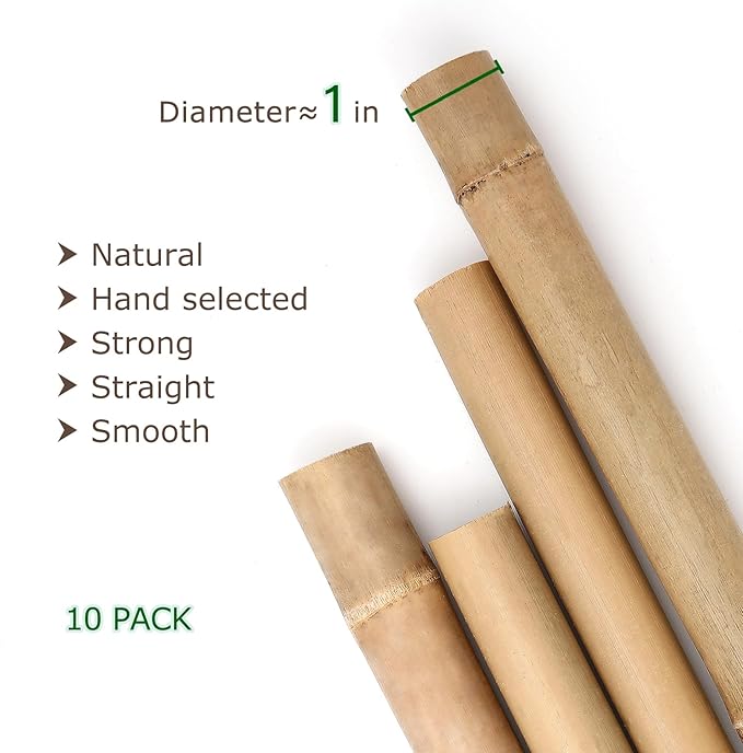 Cambaverd Bamboo Stakes 8 Feet, Diameter of 1 Inch Thicker Garden Stakes, Natural Plant Stakes for Tomatoes, Cucumbers, Grape Vine Climbing Plants Support and Natural Decoration - 10 Pack Bamboo Poles