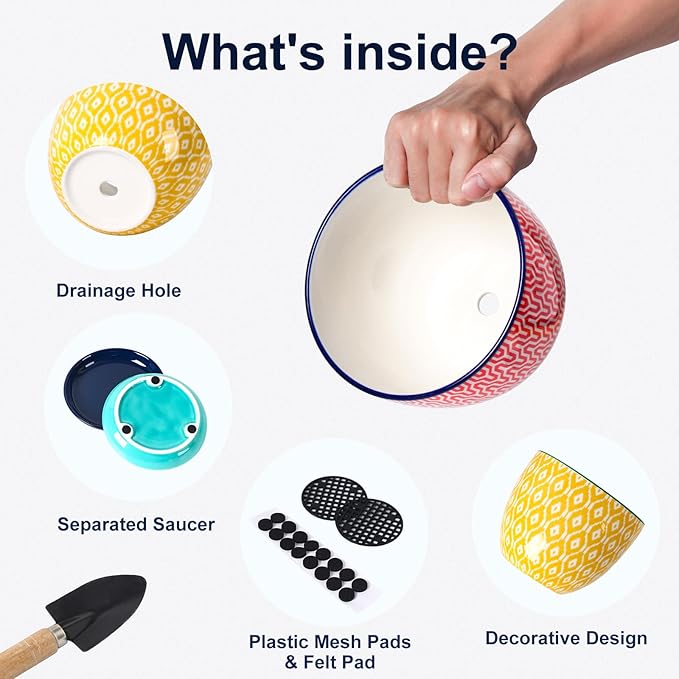 Selamica Ceramica Plant Pots, 6.5 Inch Flower Pots Set of 2 with Drainage Holes & Saucer, Planters for Indoor Plants, Home Decor, Assorted Colors