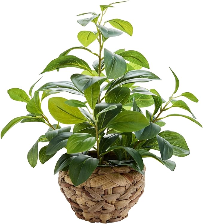 15" Artificial Broad Leaf Potted Plant in Handwoven Seagrass Basket Planter Small Tabletop Fake Plant for Indoor Home Office Shelf Desk Decor