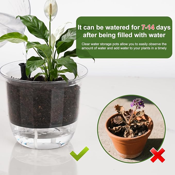 Self Watering Pots, 3 Pack 5 Inch Clear Plant Pot Self Watering Planter Flowers Pot with Deep Reservoir for Indoor Plants (3 Medium)