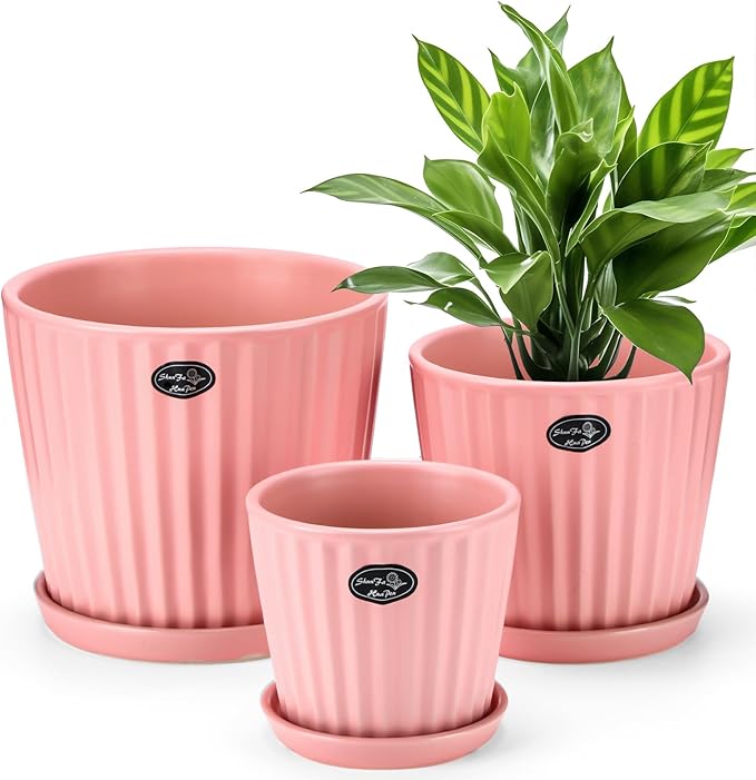3 Pcs Ceramic Plant Pots 7.3/6/4.7 Inch Ceramic Flower Pot with Drainage Hole and Saucer Decorative Planter Indoor Outdoor for Gardening Home Desktop Office Windowsill Decoration Gift(Pink)