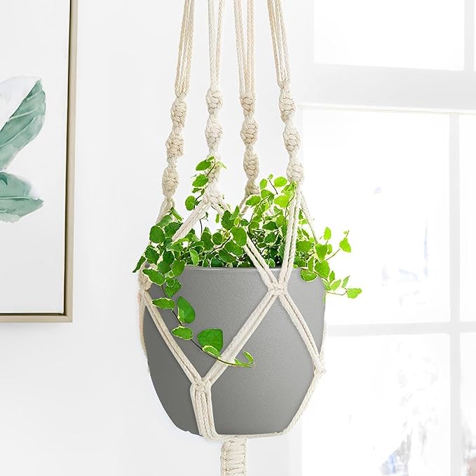 Ferlypote Plant Pots 6 Inch Set of 5, Flower Pots with Multi Mesh Drainage Holes, Planters for Indoor Outdoor Garden Plants and Flowers (Multicolor)