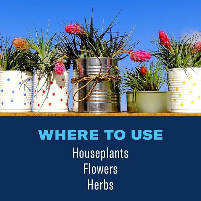 Baby Bio Houseplant Food, Concentrate, 5.9 Oz (3-Pack) with BioAdvanced Houseplant Insect & Mite Control, Ready-to-Use, 24 oz