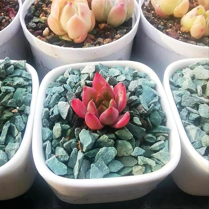 YISZM Succulents and Cactus Green Zeolite Rocks, Decorative Stones Pebbles for Indoor Plants, Bonsai, Fairy Gardening, Terrarium, 2lb
