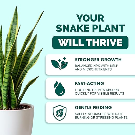 Snake Plant Fertilizer – Liquid Plant Food for Upright Growth, Strong Roots & Rich Green Leaves, 8 oz