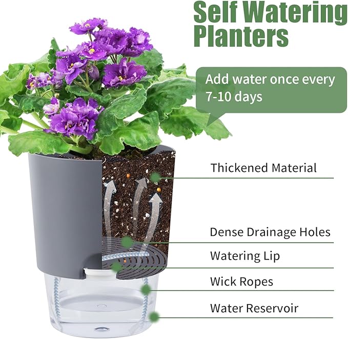 Oliz 6.3 Inch Self Watering Planter Pots for Indoor Plants, 3 Packs African Violet Pots with Wick Rope and Visible Reservoir Self Watering Planter for Herb, Houseplants