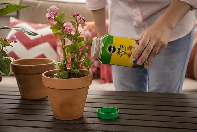 Miracle-Gro Shake 'n Feed All Purpose Continuous Release Plant Food, 1-Pound (Slow Release Plant Fertilizer)