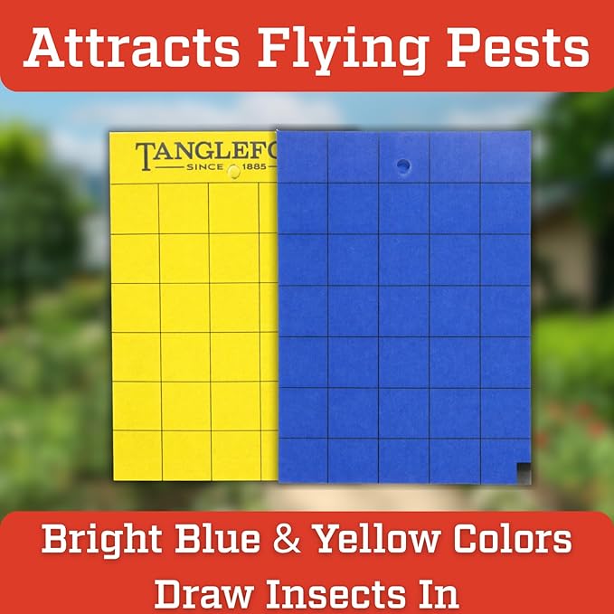 Tanglefoot Sticky Tangle-Trap Cards 20 Pack - 5"x7" – Double-Sided Yellow & Blue Hanging Traps for Garden, Plants & Greenhouse Use
