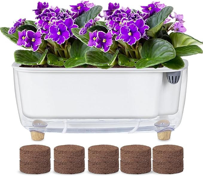 Oliz Self Watering Planter with Coco Coir Pellets, 11.8 Inch Plastic Rectangular Windowsill Plant Pot with Drainage Holes, High Clear Modern Decorative Flower Pot for Indoor Plants, African Violets