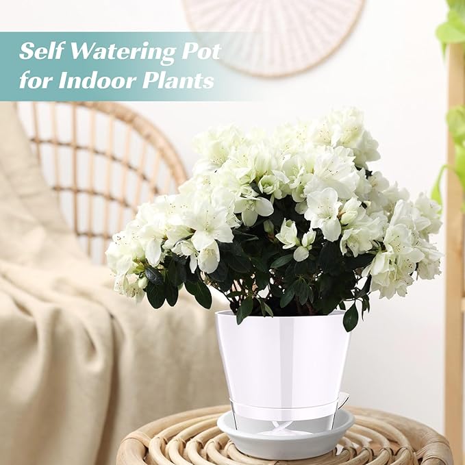 Funnymoom 6 Pack Self Watering Planters for Indoor Plants 6 Inch Colorful Flower Pots with Drainage Holes and Reservoir Plastic Plant Pots for African Violets Succulents Herbs Flowers for Home Office