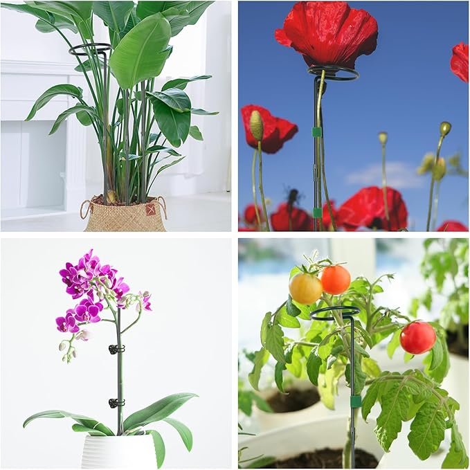 6 Packs Plant Support Sticks for Indoor Plants, Two Sizes (12 or 24 Inches) Orchid Stick and Clip, 0.18 inch Thicker Support Stake with Plant Ties and 12 Pcs Plant Clips for Flowers