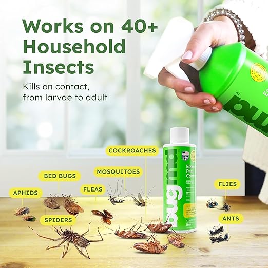 BugMD Ant Killer & Bug Spray Concentrate - Roach and Cockroach Killer Indoor, Spider & Flea Spray for Home, Fly and Insect Defense, Safe with Essential Oils, Plant-Powered, Pest Control Kit