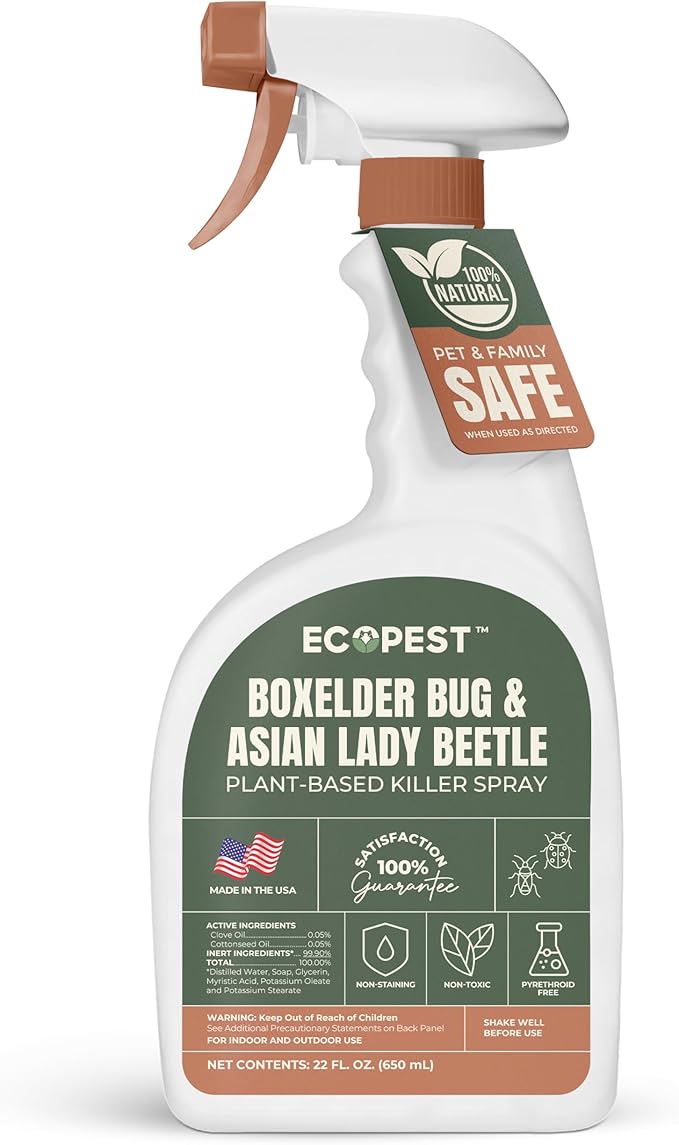 Boxelder Bug & Asian Lady Beetle Spray – Natural, Plant-Based Indoor & Outdoor Killer | Non-Staining, Safe for Doors, Windows, Siding & Baseboards | Child & Pet Safe, Low Odor, Eco-Friendly (22 oz)