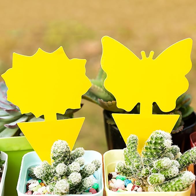 64 Pcs Flying Insect Traps for Plants,Indoors, Outdoors, Kitchen, Office, Yellow Sticky Traps for Fungus Gnat, Fly and Flying Insects, Non-Toxic & Odorless, Kid & Pet Safe