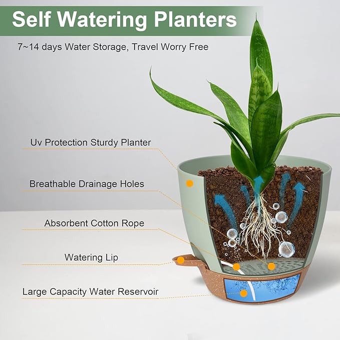 Vanslogreen Planters for Indoor Plants, 10/9/8 Inch Self Watering Plant Pots with Drainage Hole, Plastic Planters Flower Pots for Indoor Outdoor Plants (Green)