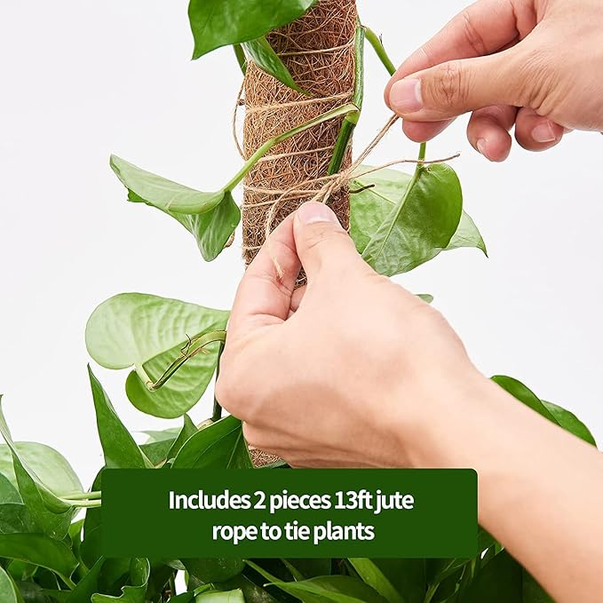 Eibikdi 8 Pcs Moss Pole for Plants Monstera, Plant Support Stakes for Indoor Climbing Plants Grow Upwards, with 65ft Twist Ties, 13ft Jute Rope, 6.5ft Hook-and-Loop Strip