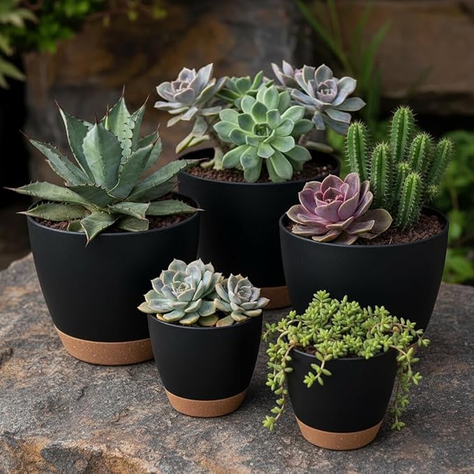 LIFFY Plant Pots, 8,7.5,7,6.5,6,5.5,5 Inch Plastic Self Watering Planters with Drainage Holes & Saucers, 7-Pack Black Nursery Planting Pot with Deep Reservoir for Indoor Outdoor Plants