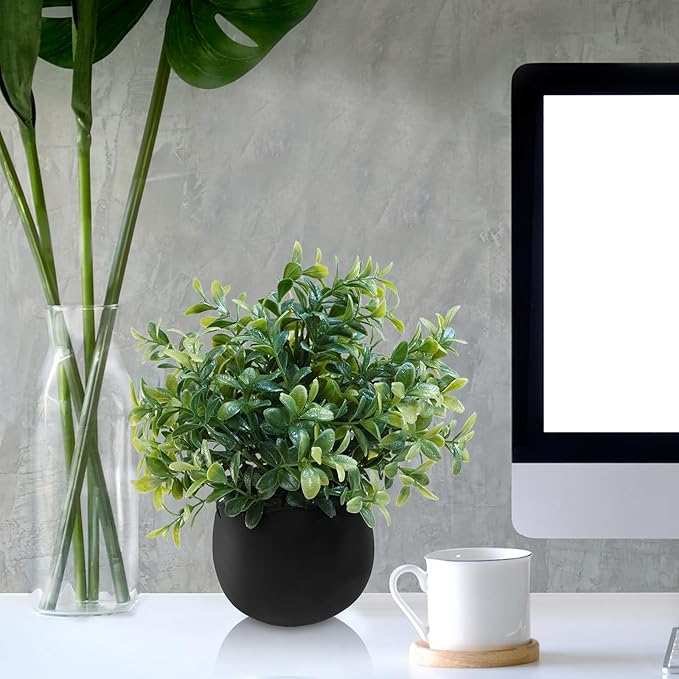 Winlyn Set of 3 Small Potted Faux Plants 8" Artificial Eucalyptus Rosemary Boxwood Plants in Black Concrete Pot Desk Plants for Home Office Bathroom Kitchen Counter Shelf Coffee Table Windowsill Décor