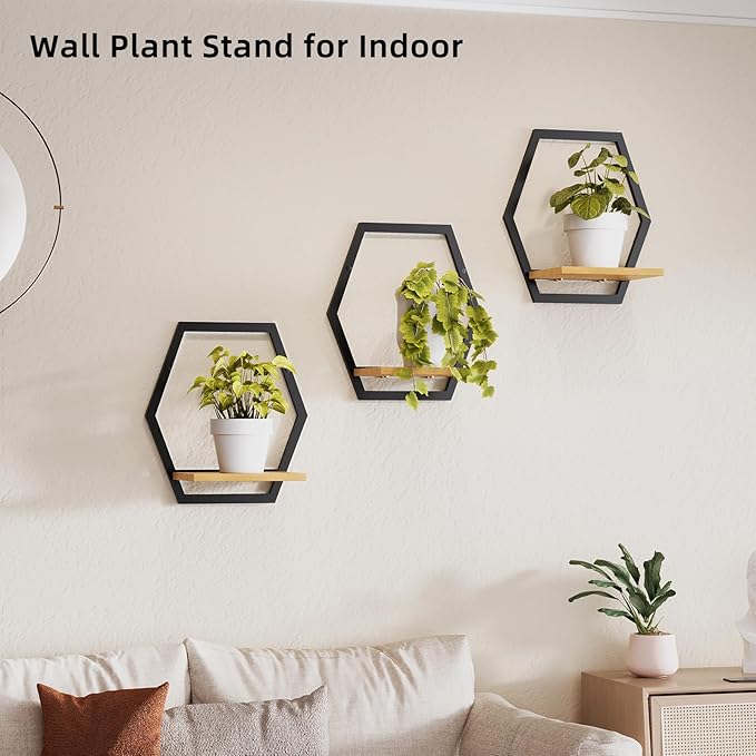 Modern Black Hexagon Wall Planters with Solid Wood Shelves Set of 3 Geometric Floating Wall Decor for Indoor Plants, Stylish Wall Mounted Display for Succulents & Small Plants