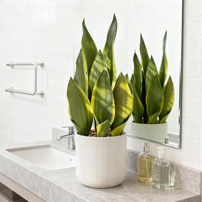 Artificial Realistic Snake Plant 16" with White Ceramic Pot Fake Snake Plants Sansevieria Greenery Faux Snake Plant for Home Office Living Room Housewarming Gifts Indoor Decor