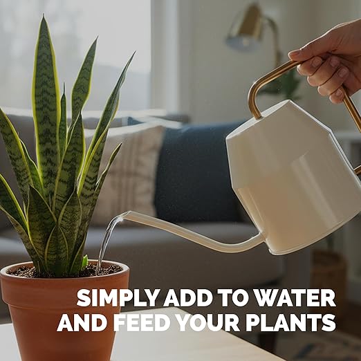 Snake Plant Fertilizer – Liquid Plant Food for Upright Growth, Strong Roots & Rich Green Leaves, 32 oz