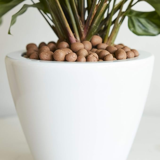 Smart Self-Watering Planter Pot for Indoor and Outdoor 5.5" Round Cone Suitable for All Plants, Herb, Succulents, Flowers (Round, White)