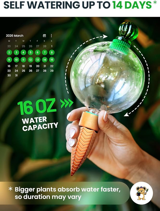 16 Oz Plant Watering Globes for Indoor Plants with Terracotta Self Watering Planter Insert - Premium XL Glass Hand-Blown Globe - Automatic Indoor Planter Waterer, Gift Idea for Gardeners [1, Clear]
