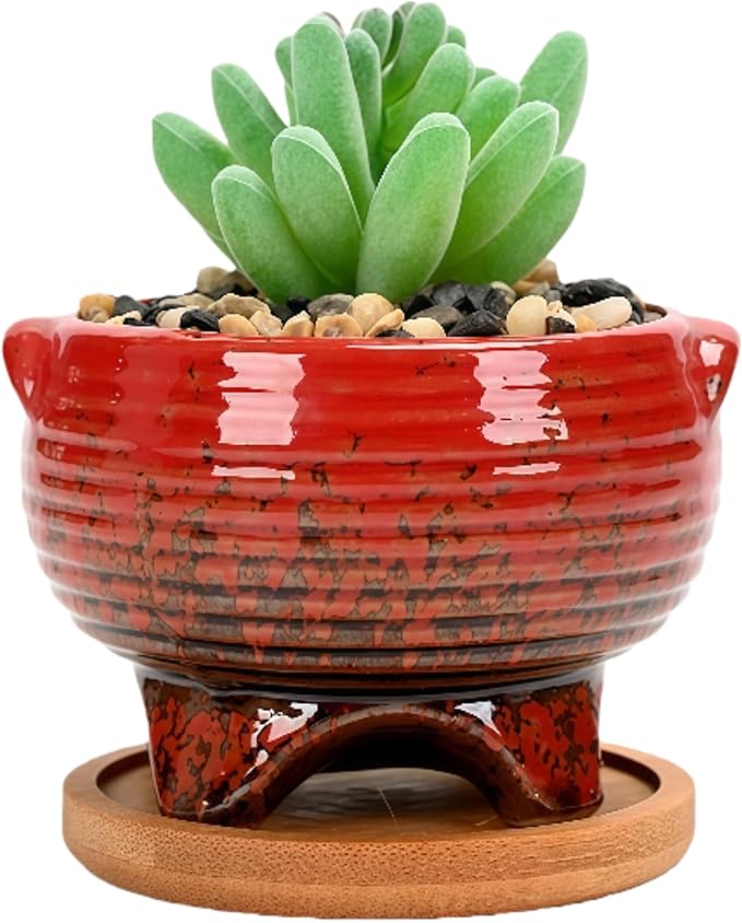 Cute Circular Ceramic Home Garden Decoration Succulent Cactus Flower Pots Container with Bamboo Tray -Plant Not Included (Blue, 4.02 Inch)