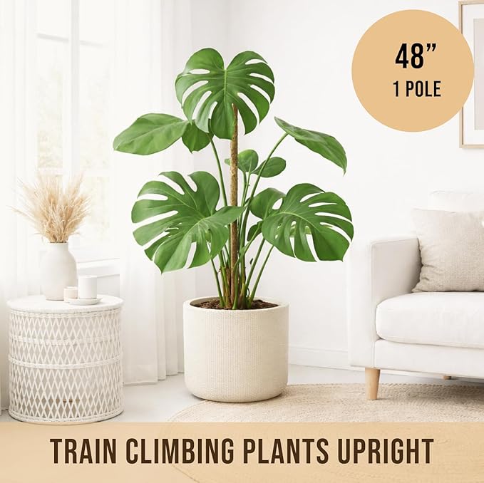 Craft911 Moss Pole Monstera Plant Support – 48” Bendable Moss Pole Monstera Plant Support, Plant Stakes for Indoor Plants, Tall Plant Sticks Support for Climbing Plants