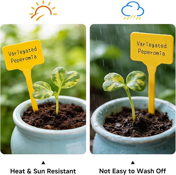 KINGLAKE Large Plant Labels 6 Inch - 50 Pcs Tall Thick Plastic Plant Tags Nursery Garden Labels for Outdoor Garden Waterproof Multicolored Plants Name Tags for Vegetables Flower Seed Pot Garden Beds