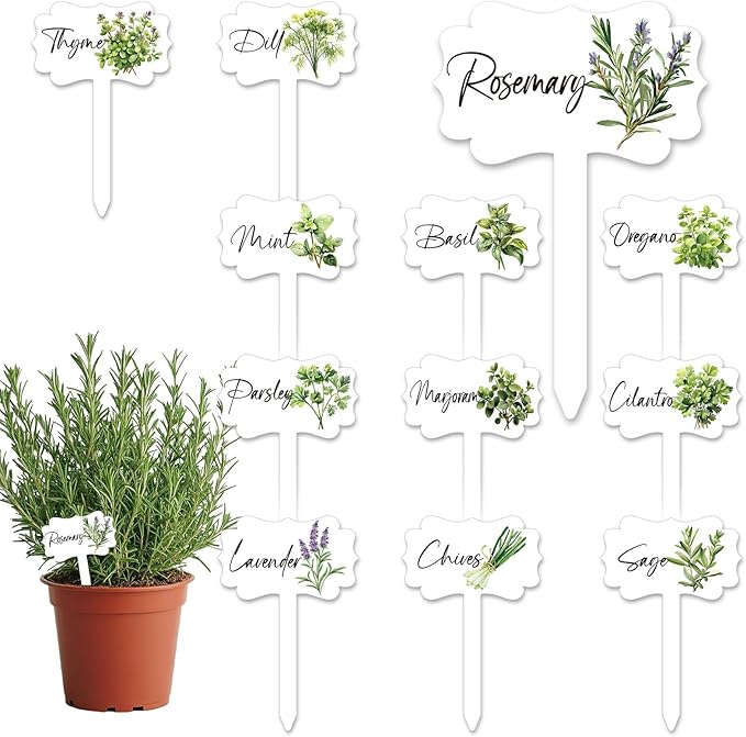 AnyDesign 24Pcs Acrylic Herb Plant Label Signs 12 Styles Garden Herb Markers Waterproof T-Type Tags Plant Stake Tags with Names for Nursery Indoor Outdoor Garden Decor