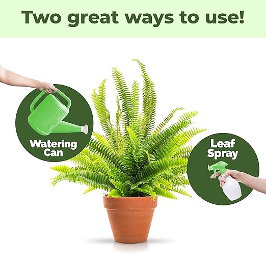 Boston Fern Fertilizer – Liquid Plant Food for Fuller Fronds, Rich Green Color & Healthy New Growth, 8 oz