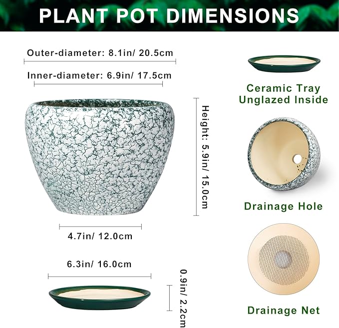 Ceramic Flower Pots - 8 Inch Pots for Plants Indoor Outdoor, Round Plant Pot Indoor with Drainage Hole and Saucer, Modern Decorative Planter, Bedroom Decor, Gardening Gifts, Crackle Green