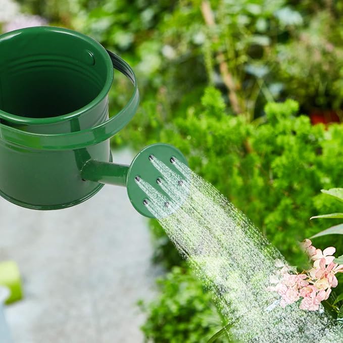 DOITOOL Kids Metal Watering Can, 2pack Small Iron Watering Can for Gardening Succulents Bonsai Houseplants, Mini Water Pot for Children Sprinkling Bucket (Mixed Style: Beige, Blue)