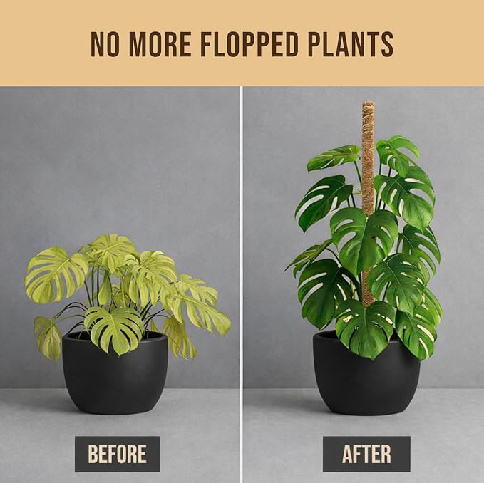 Craft911 Moss Pole Monstera Plant Support – 2 Pack 28” Bendable Moss Pole Monstera Plant Support, Plant Stakes for Indoor Plants, Tall Plant Sticks Support for Climbing Plants