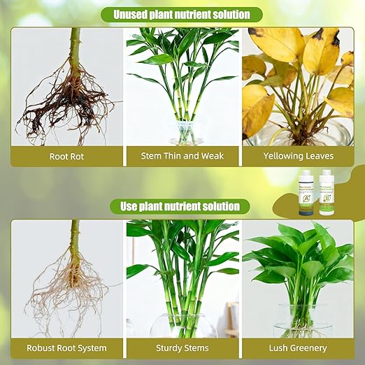 Liquid Plant Food Concentrate, Indoor Outdoor Fertilizer for Flowers, Fruits, Vegetables, Organic-Based Bloom Booster with Easy Mix Formula
