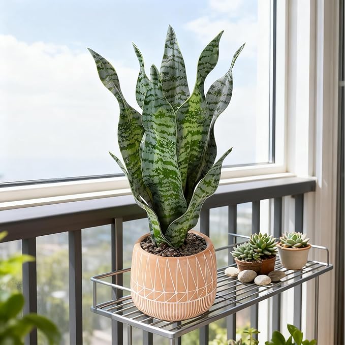Artificial Realistic Snake Plant 17" with Concrete Pot Fake Snake Plants Sansevieria Greenery Faux Snake Plant for Home Office Living Room Housewarming Gifts Indoor Decor