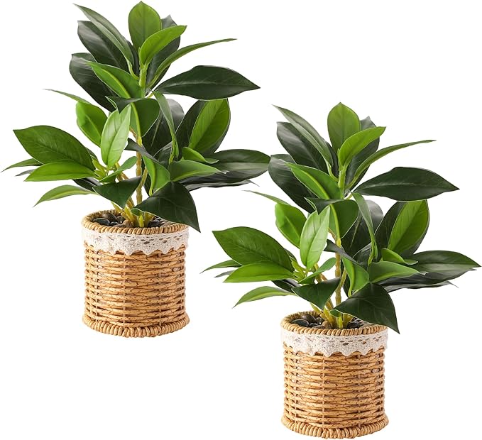 Nubry 2 Pack Fake Plants Artificial Potted Plants with Weaved Pot for Shelf & Table Desk | Perfect for Home Office Bathroom Farmhouse Room Coffee Table Decor 10‘’