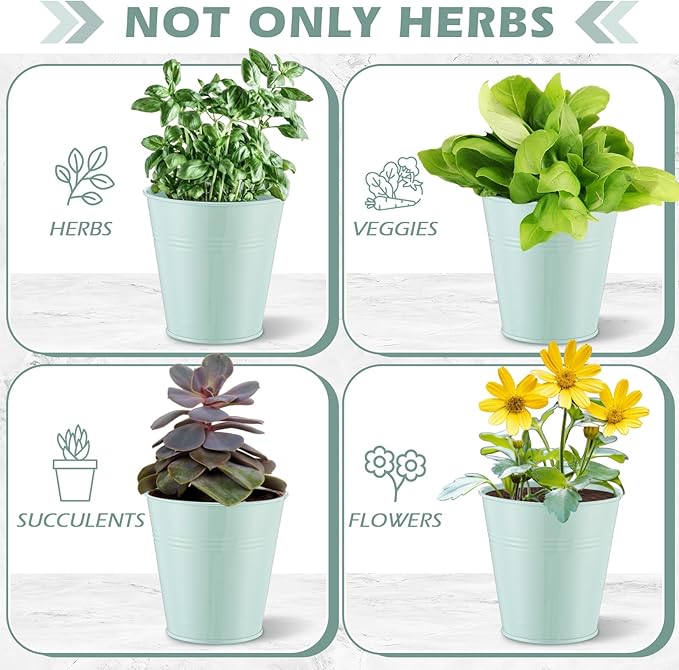 Wenqik 2 Sets Herb Garden Planter Pot Set with Tray Metal Windowsill Plant Pot with Drainage Farmhouse Decorative Live Herb Garden Kit for Home Kitchen Indoor Outdoor Apartment Balcony Window(Green)