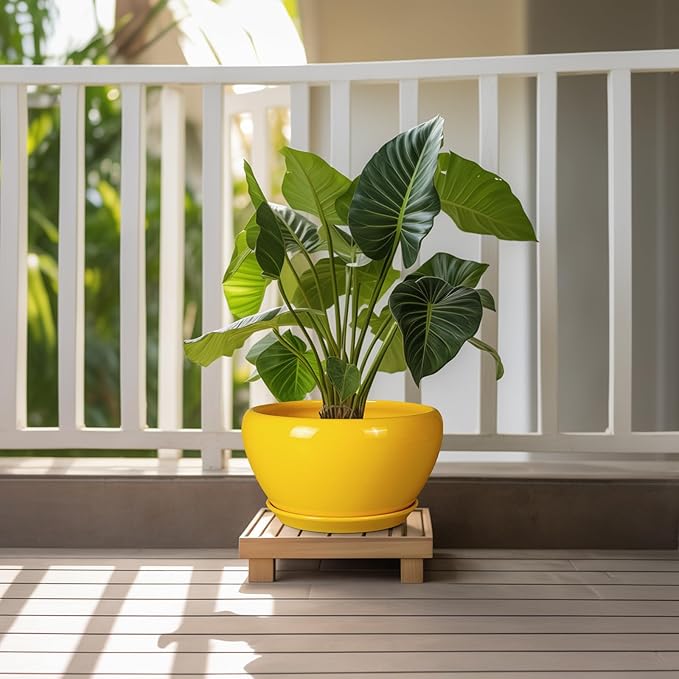 Ceramicfor Indoor Planter 11 Inch - Decorative Mid-Century Large Ceramic Plant Pot for Outdoor Plants with Drainage Hole and Saucer, Home Balcony House Garden Patio Office Room Decor, Yellow