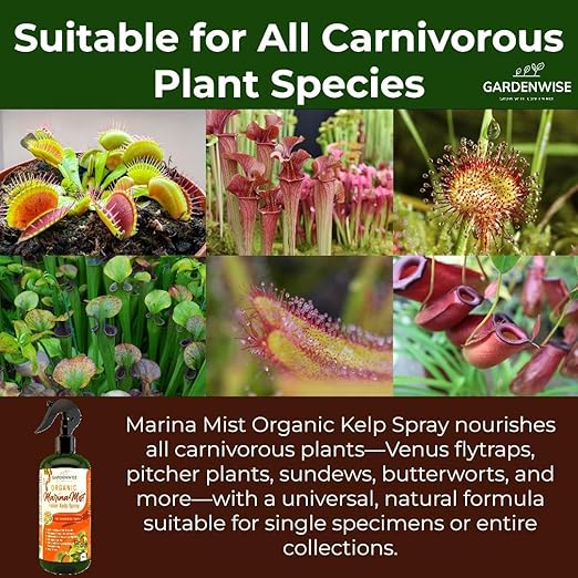 GARDENWISE 100% Organic Marina Mist Carnivorous Plant Food | Liquid Kelp Foliar Spray for Plants - Kelp Fertilizer for Venus Flytraps, Sundew, Butterworts, Pitcher Plants 16 Oz