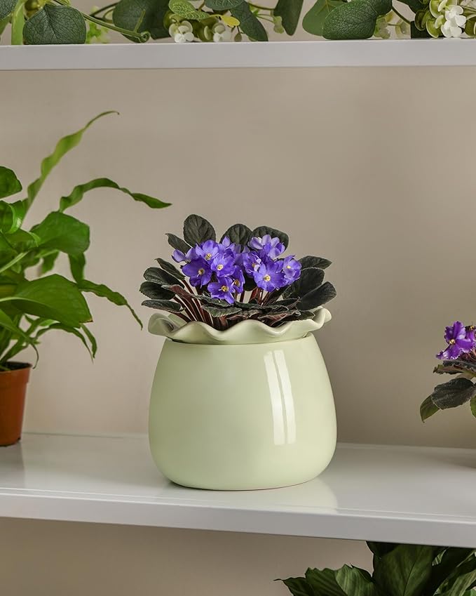 Fayoula Self Watering Plant Pot, 6 Inch African Violet Pots Maintenance, Ceramic Self-Watering Planter for Indoor Plants - Ideal Flower Pot for Thriving Indoor Gardens, Green