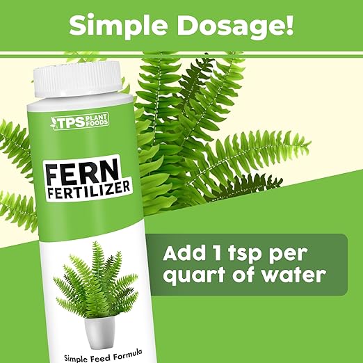Fern Fertilizer – Liquid Plant Food for Fuller Fronds, Deep Green Color & Lush Growth, 8 oz