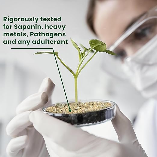 BuildASoil Quillaja Saponaria Extract Powder 60% (2 oz) – Natural Root Growth Booster for Plants