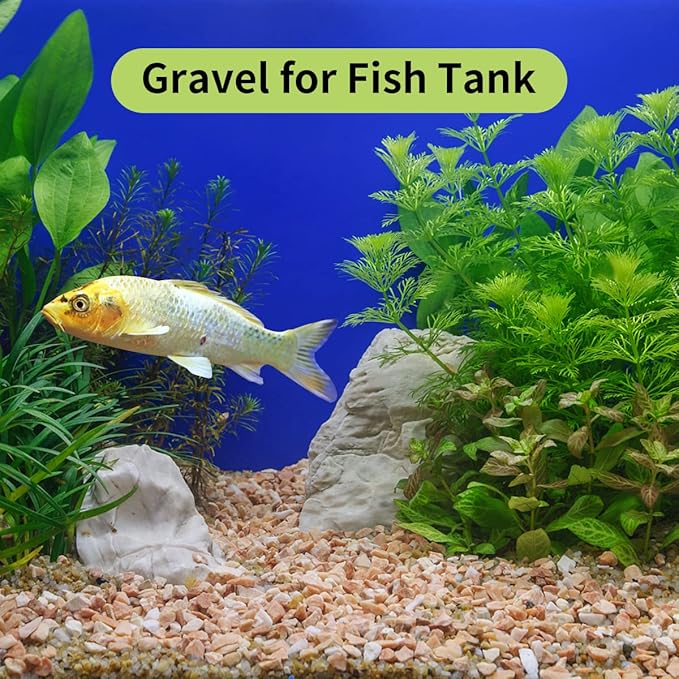 FANTIAN 10 LB Natural Pea Gravel Small Pebbles - 3/8 Inch Decorative Pebbles for Indoor Plants,Terrarium Rocks, Outdoor Decorative Rocks, Vase, Succulent Rocks, Aquarium Gravel and Landscaping Rocks